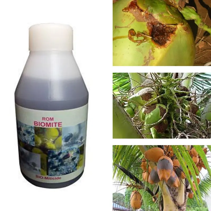ROM 3 liter Combined Bio Pesticide for Controlling Mite Infestation in Crops